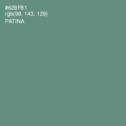 #628F81 - Patina Color Image