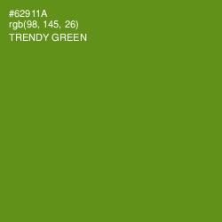#62911A - Trendy Green Color Image