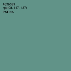 #629389 - Patina Color Image