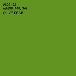 #629422 - Olive Drab Color Image