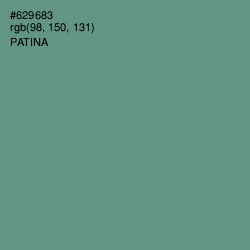 #629683 - Patina Color Image