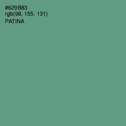 #629B83 - Patina Color Image