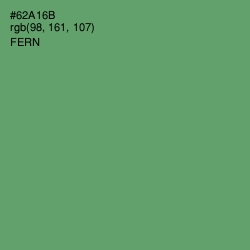 #62A16B - Fern Color Image