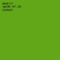 #62A717 - Christi Color Image