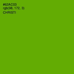 #62AC03 - Christi Color Image