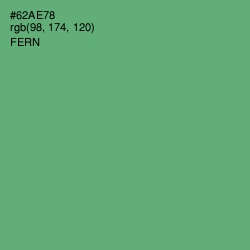 #62AE78 - Fern Color Image