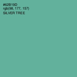 #62B19D - Silver Tree Color Image