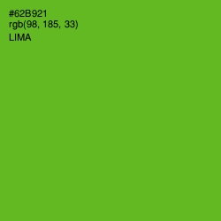 #62B921 - Lima Color Image