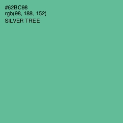 #62BC98 - Silver Tree Color Image