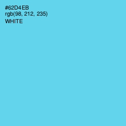 #62D4EB - Turquoise Blue Color Image