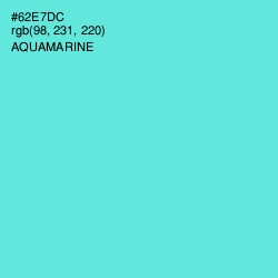 #62E7DC - Aquamarine Color Image