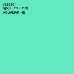 #62E9C1 - Aquamarine Color Image
