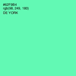 #62F9B4 - De York Color Image