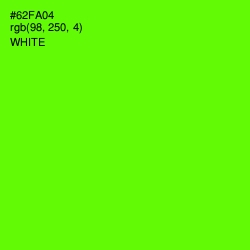 #62FA04 - Bright Green Color Image