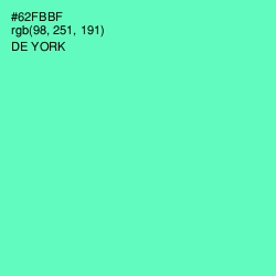 #62FBBF - De York Color Image