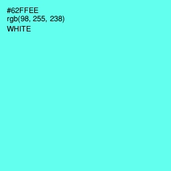 #62FFEE - Aquamarine Color Image