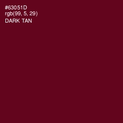 #63051D - Dark Tan Color Image