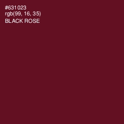 #631023 - Black Rose Color Image