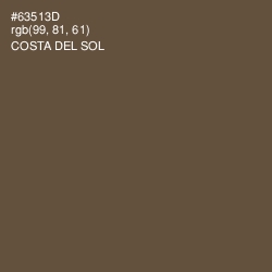 #63513D - Costa Del Sol Color Image