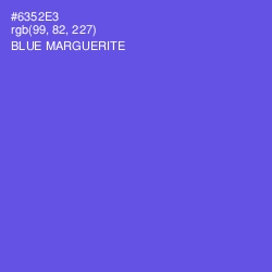 #6352E3 - Blue Marguerite Color Image