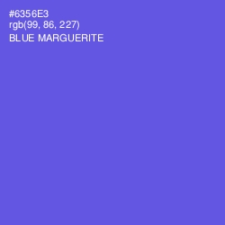 #6356E3 - Blue Marguerite Color Image