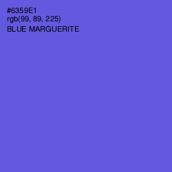 #6359E1 - Blue Marguerite Color Image