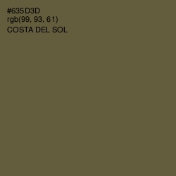 #635D3D - Costa Del Sol Color Image