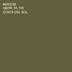 #635E3B - Costa Del Sol Color Image