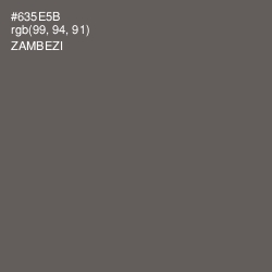 #635E5B - Zambezi Color Image