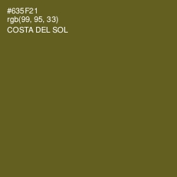#635F21 - Costa Del Sol Color Image