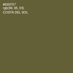 #635F37 - Costa Del Sol Color Image