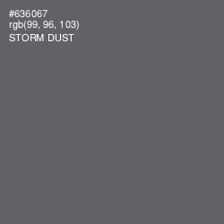 #636067 - Storm Dust Color Image