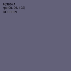 #63607A - Dolphin Color Image