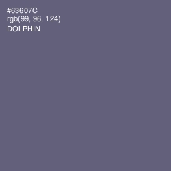 #63607C - Dolphin Color Image