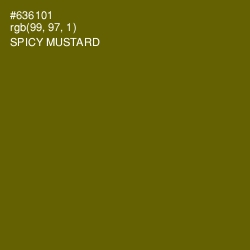 #636101 - Spicy Mustard Color Image
