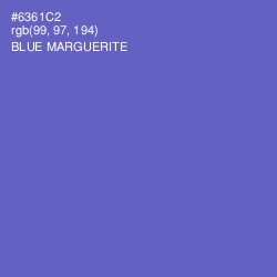 #6361C2 - Blue Marguerite Color Image