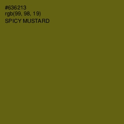 #636213 - Spicy Mustard Color Image