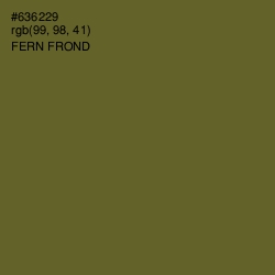 #636229 - Fern Frond Color Image