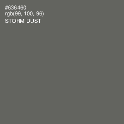 #636460 - Storm Dust Color Image