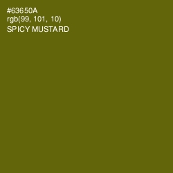 #63650A - Spicy Mustard Color Image