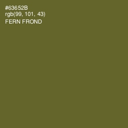 #63652B - Fern Frond Color Image