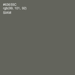 #63655C - Siam Color Image