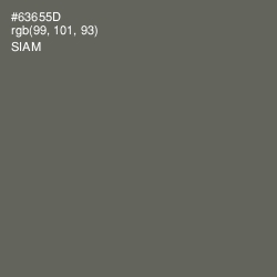#63655D - Siam Color Image
