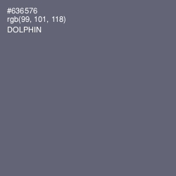 #636576 - Dolphin Color Image