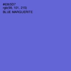 #6365D7 - Blue Marguerite Color Image