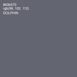 #636670 - Dolphin Color Image