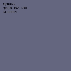 #63667E - Dolphin Color Image