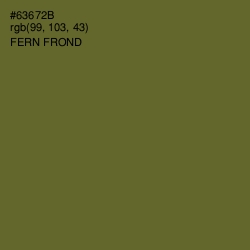 #63672B - Fern Frond Color Image