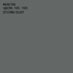 #636766 - Storm Dust Color Image