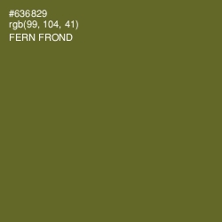 #636829 - Fern Frond Color Image
